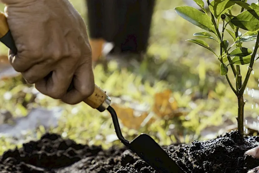 valkenbosvan der valk duurzaamheid e1711022847901