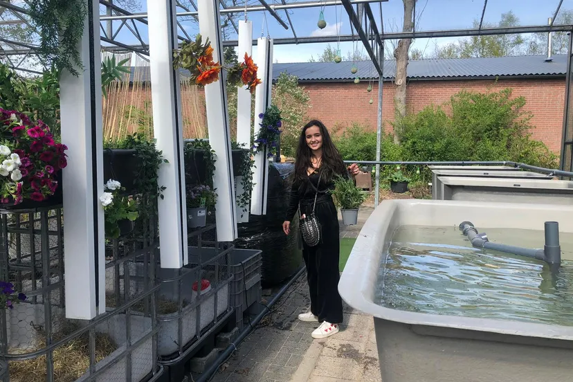 voedselsysteem britte van die