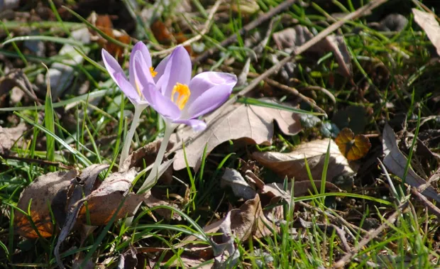 vps7qv3iswbngrdhu3uvbrvbg 2014 02 1614 18 45