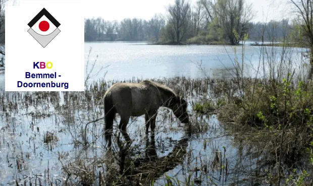 w0x1p6rl38j583qau9xl0yduz struinen