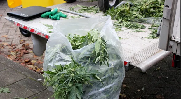 w4gjb961f2h1sv4fesjykn3nu 2014 02 0414 59 32