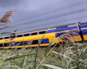 w7r99inkg0z08wvf6tycloy57 207195