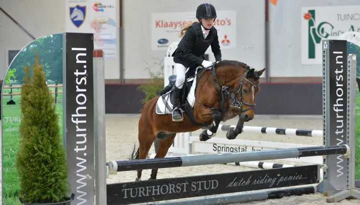 waalruiters gelderse 2015 1