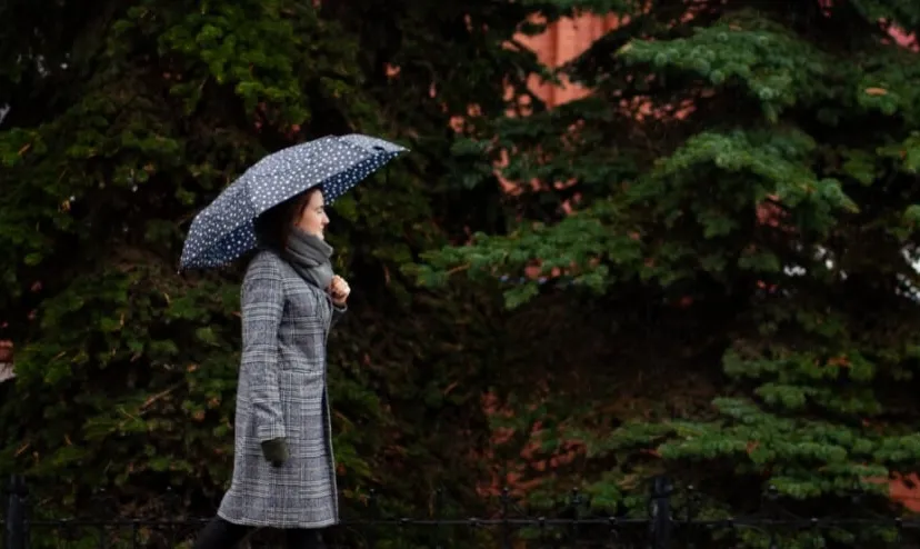 wandelmaatjeselisabaeth sohlgendt e3954d8b b3c4 4425 881a 3de17f4f2523 thumb840