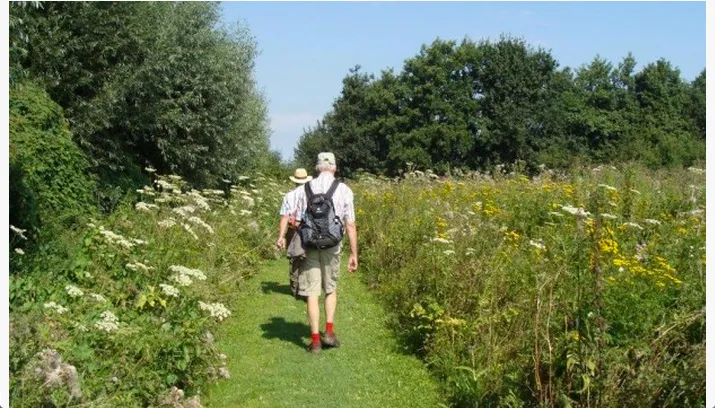 wandeltweedaagse debol