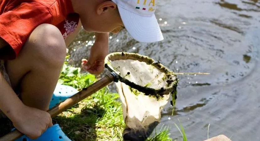 watermonstersnwm unnamed14