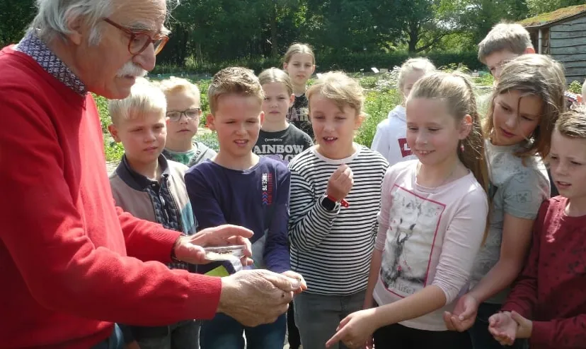 wildebij gem nws d6b18ba7 f71d 4356 b8d2 a9c73165eaac thumb840