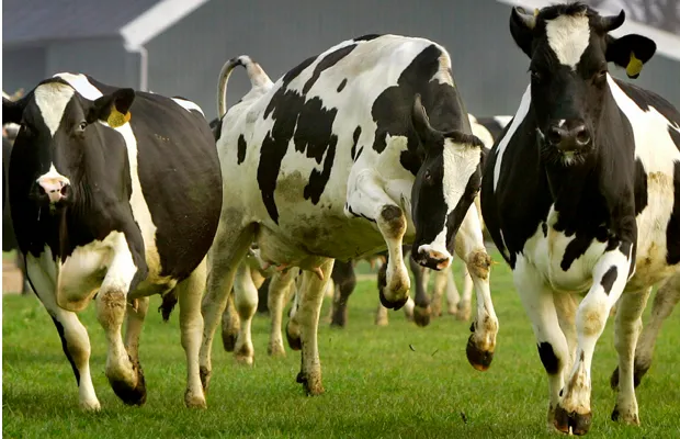 woycwpryx3lzr7dgg3u3iuzwj 2014 02 2408 31 21