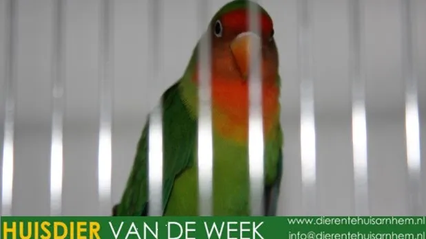 wrwl170dmawne6rzl2lcw5e3o 1 297