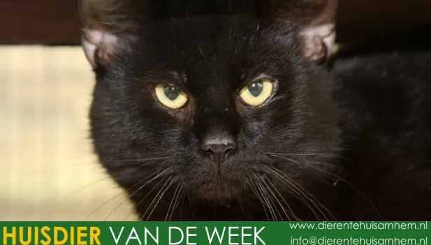 wuechbdw08mfme8fab1ckzib7 1 538