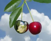 x7q6kez7fxil84wuzgitqxj56 221581