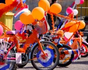 xgpf45sovjl8j0br6auo00mgd 215290