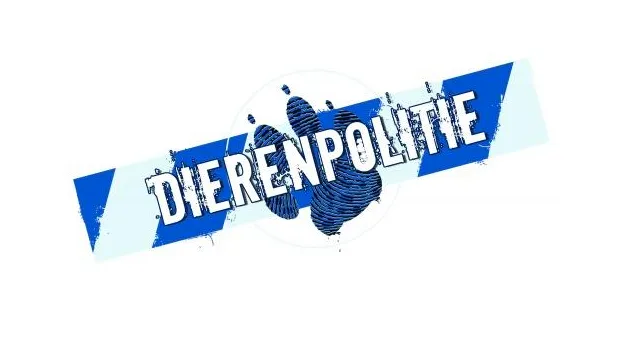 y367pjfxdtmmuqmg0mgxmwxky dieren