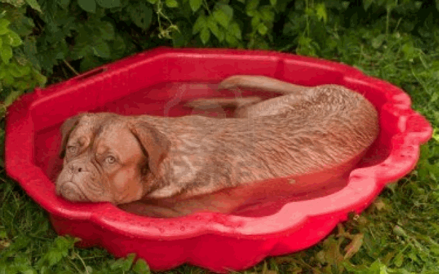 ycu5m0jylms9j4yqchpa9njtj 1 8 2013 11 23 59