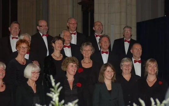 yd04qd7bfnjxff37cz8geyk8f slaaf