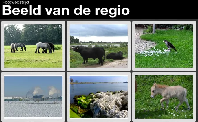 yuqv6u2cbe85sa7kkbt8g6icg 12 15