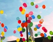 yw5zc280fe7jewd6sfnq8vvt5 184600