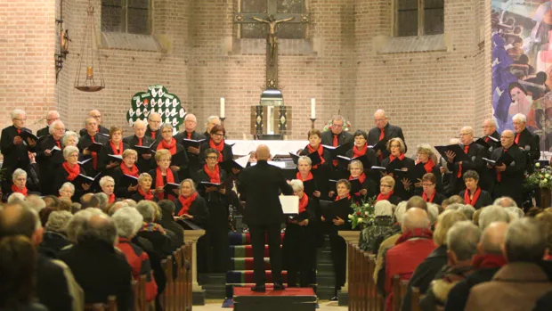 z6tcvghqnqijq7wyt2szagg50 cant