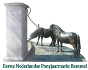 z72tsvc2ja9w2puiys1tie0ue 232038