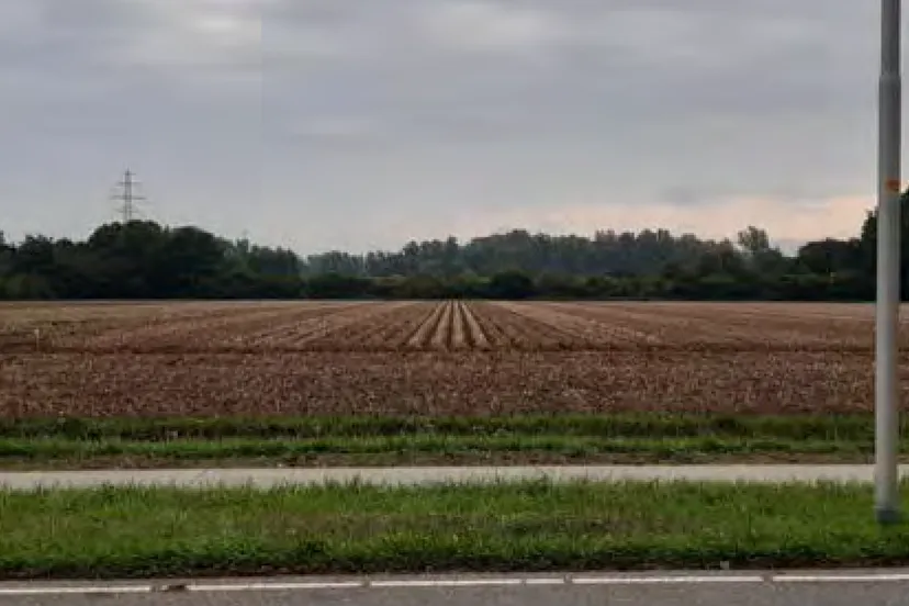 zandsestraatbemmelzicht op plangebied