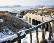 zbykzgbuqdt0kvdhbcebjntm8 222738