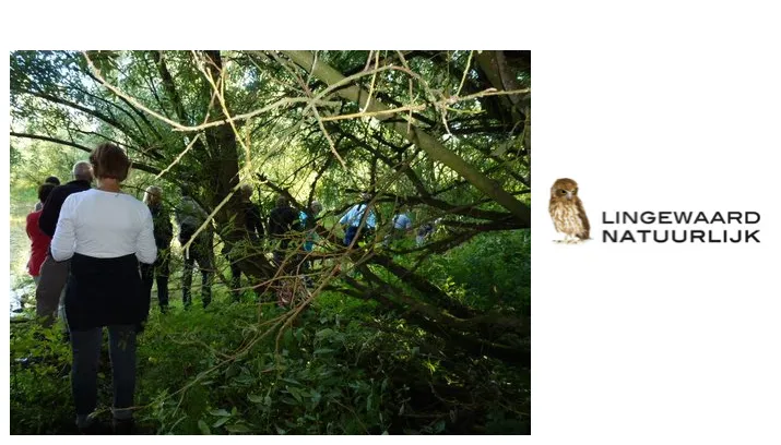 zomertocht lingewaard natuurlijk