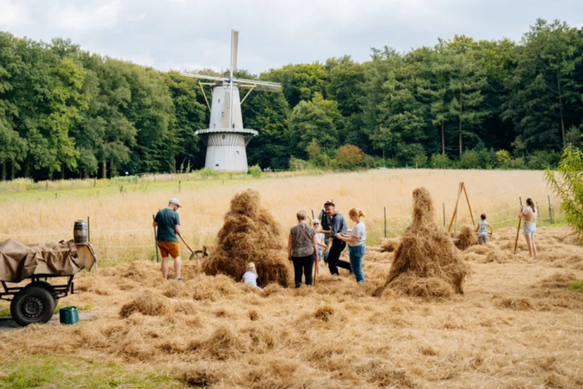 kom hooien nederlands openluchtmuseum