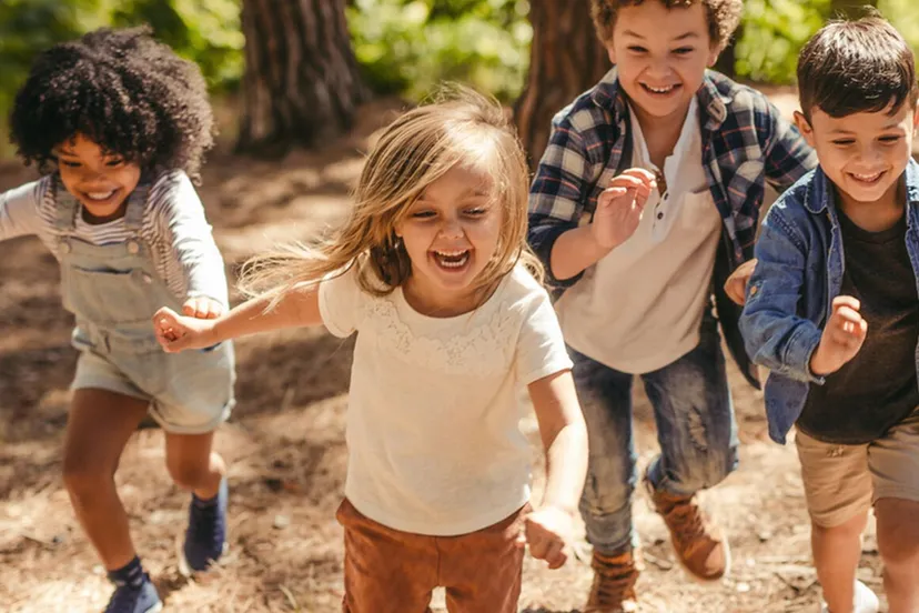 pleegouders gezocht entrea lindenhout