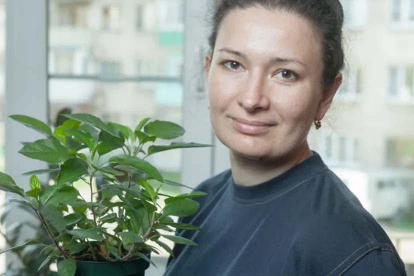 spring pro persona connect