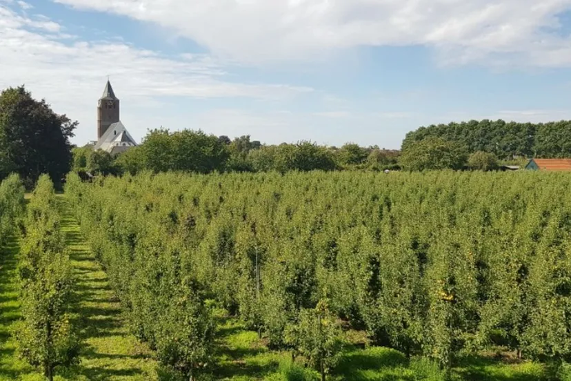 wandelroute door de betuwe wandelnet