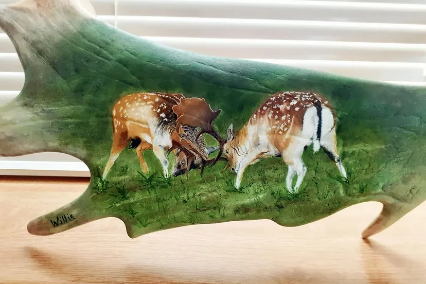 willie peek fink183448162 2114386965401812 2230131638810512151 n