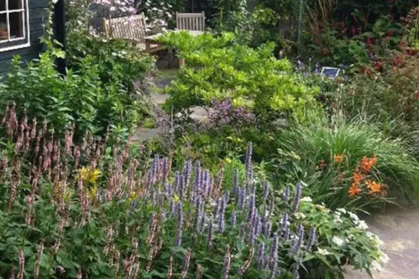 levende tuinlezing sln op 16 oktober een levende tuin maak je zelf