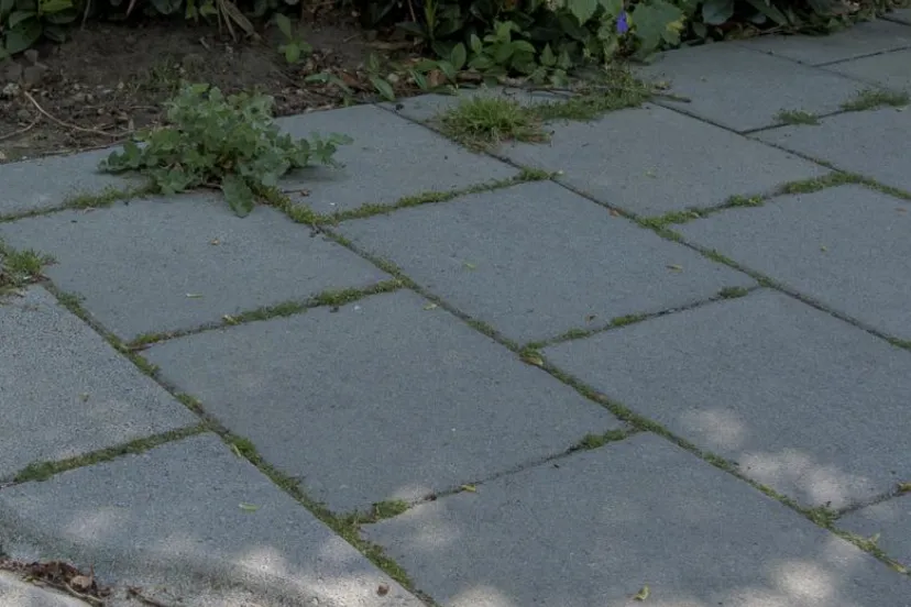 tegels1gemeente lingewaard facebookmeer tips en informatie klimaatbestendig