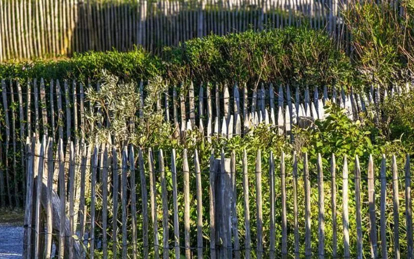 schuttingpixabayfence 4693465 480 915x518