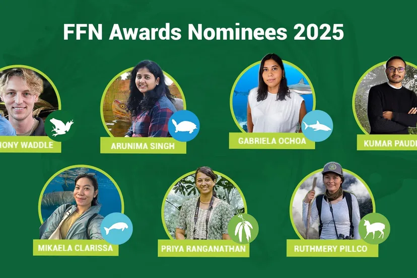 ffn genomineerden 2025