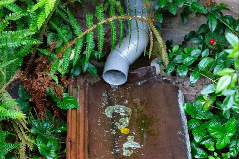 afkoppelen regenwatergemeente lingewaard1025x1536jpg jpeg afbeelding 1025 1536 pixels geschaald 44