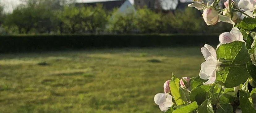 bijeenkomst landschap natuur en biodiversiteit gemeente lingewaard