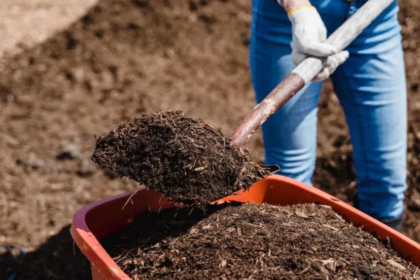 compostdag websitejpg jpeg afbeelding 960 768 pixels