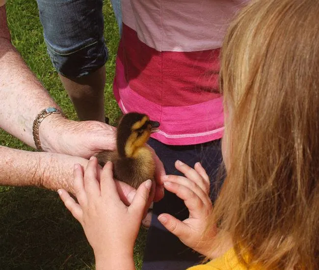 kinderhulp europeekh2 650x650 1