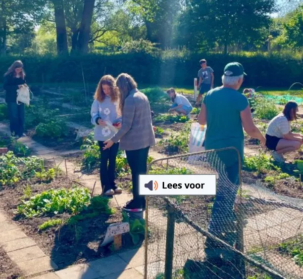 enthousiaste aftrap week van de schooltuin gemeente lingewaard