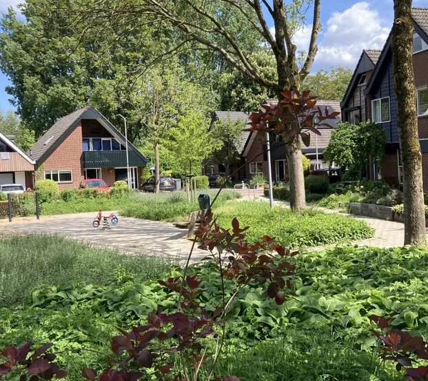 onderhoud van het groen gemeente lingewaard