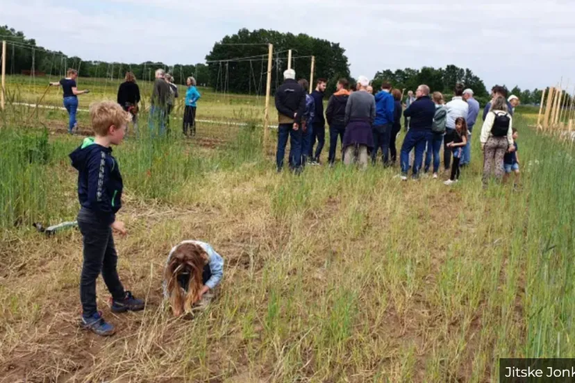 open dagen herenboerderij lingezegen grootstal op 14 en 21 junijitske jonkman