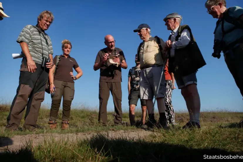 stadsbosbeheerexcursie hoe wolven en schapen naast elkaar leven op de midden veluwe