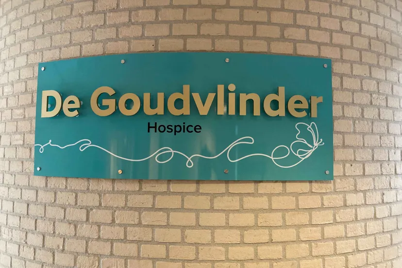 zinziade lingehofde goudvlinder