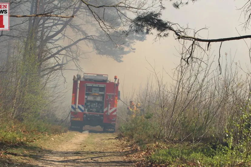 20170409 natuurbrand schelmseweg rozendaal 006