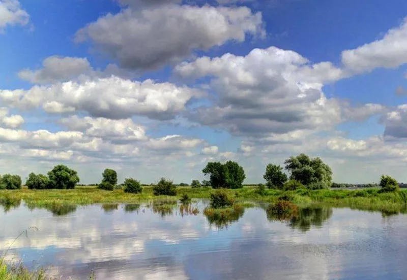 samenwerken aan een nog groener lingewaard1 gemeente lingewaard