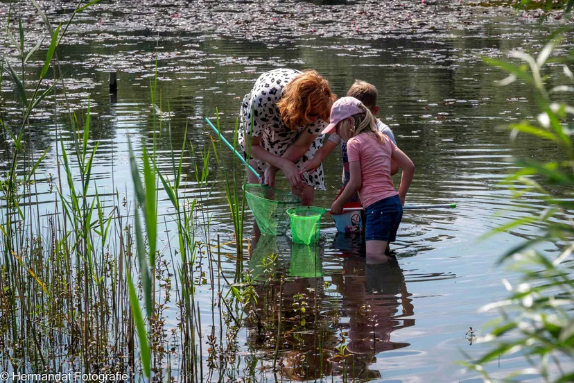 slootjesdag bemmelivn6644