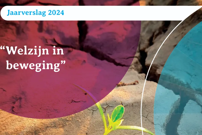 swl jaarverslag 2024indd swl jaarverslag 2024pdf