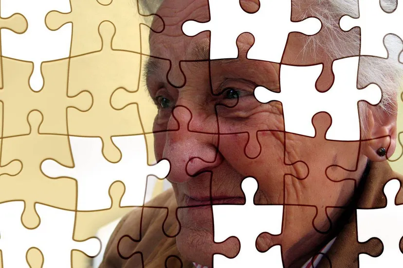 veranderend gedrag bij dementie kan een hele puzzel zijn voor de mantelzorger gerd altmann via pixabay