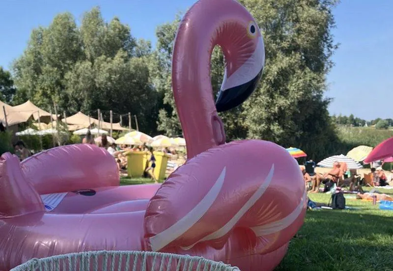 Statiegeldautomaat bij het Zwanenbad in Huissen Gemeente Lingewaard